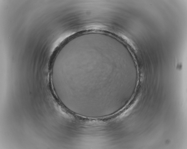 X0000093131117200710241317