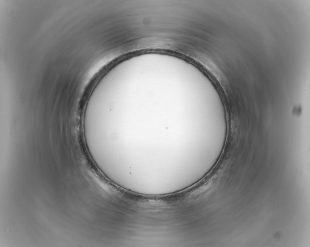 X0000093131119200710241317