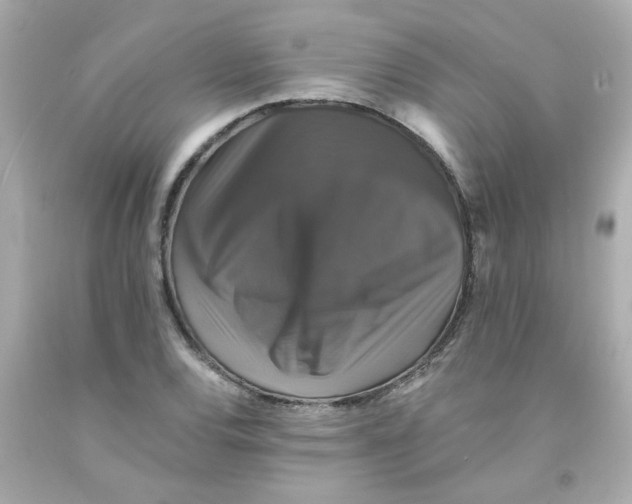 X0000093131120200710241317