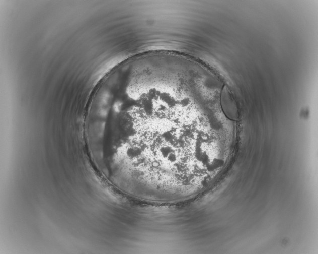 X0000093131121200710241317