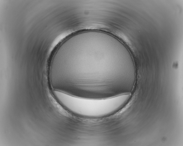 X0000093131122200710241317