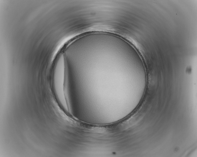 X0000093131123200710241317