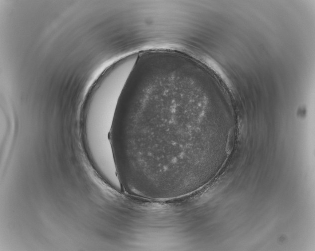 X0000093131124200710241317