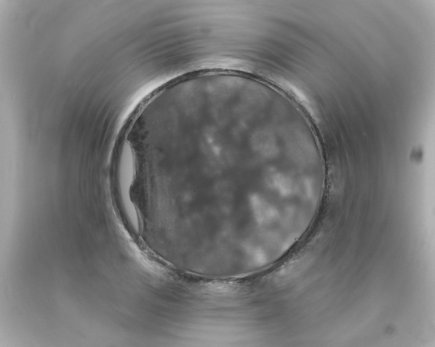 X0000093131125200710241317