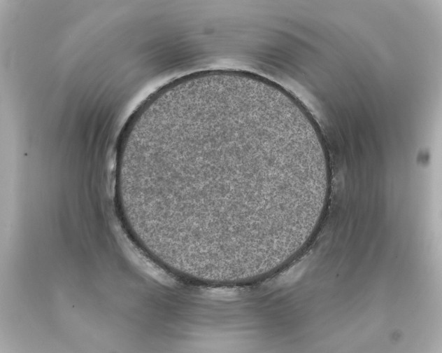 X0000093131126200710241317