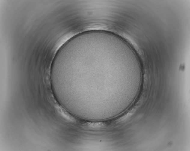 X0000093131129200710241317