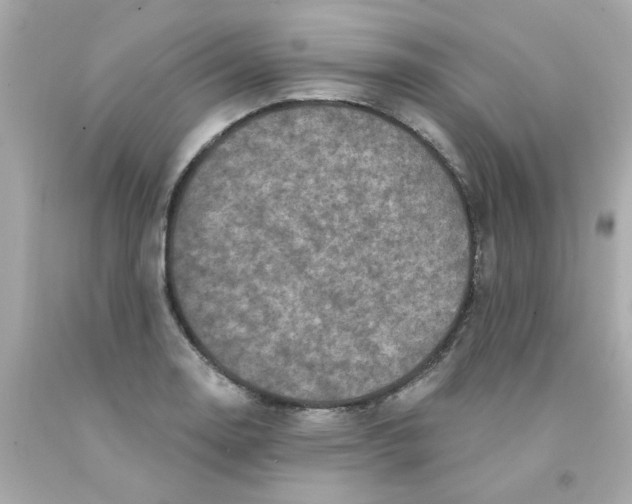 X0000093131130200710241317