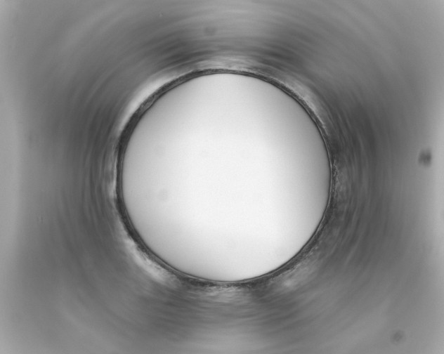X0000093131131200710241317