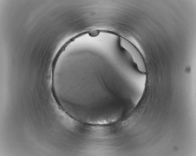 X0000093131132200710241317
