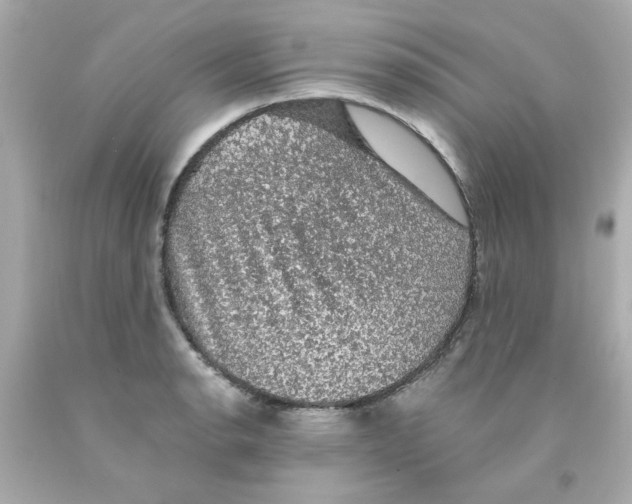 X0000093131134200710241317