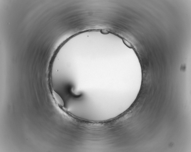 X0000093131135200710241317
