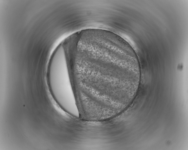 X0000093131136200710241317