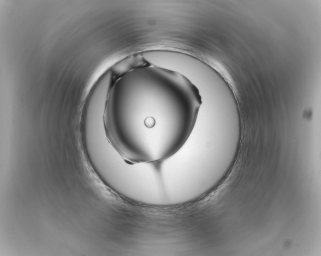 X0000093131138200710241317
