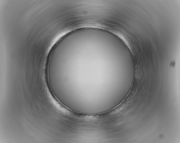 X0000093131139200710241317