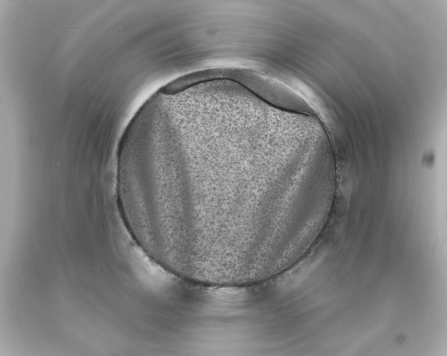 X0000093131140200710241317