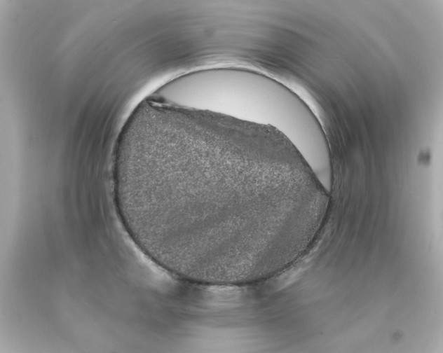 X0000093131142200710241317
