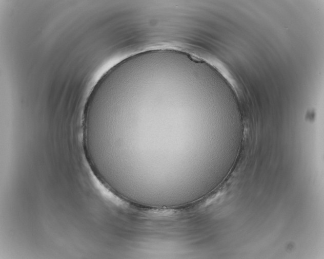 X0000093131143200710241317