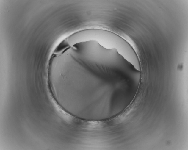 X0000093131144200710241317
