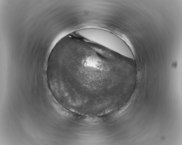 X0000093131146200710241317