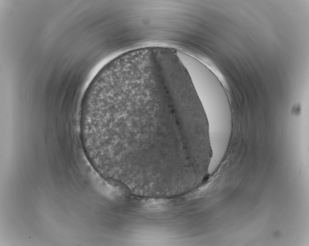 X0000093131148200710241318