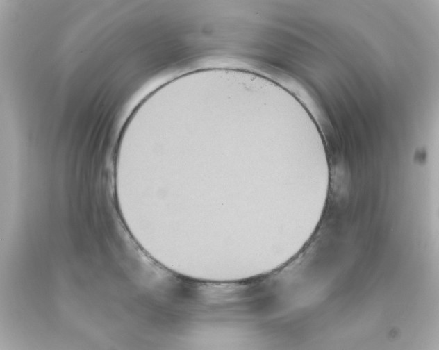 X0000093131150200710241318