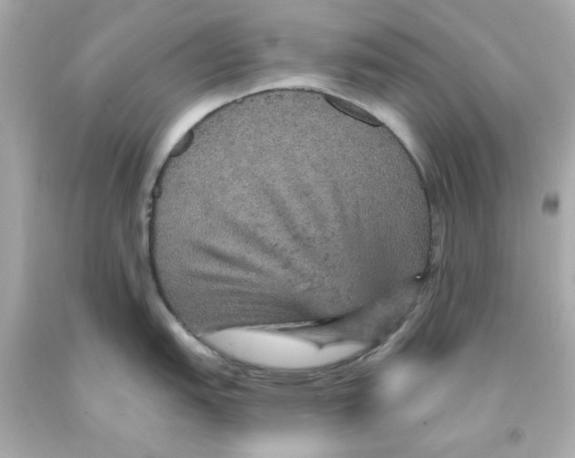 X0000093131151200710241318