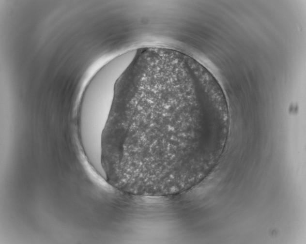 X0000093131152200710241318