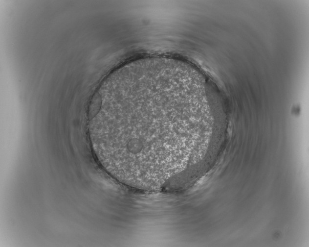X0000093131153200710241317