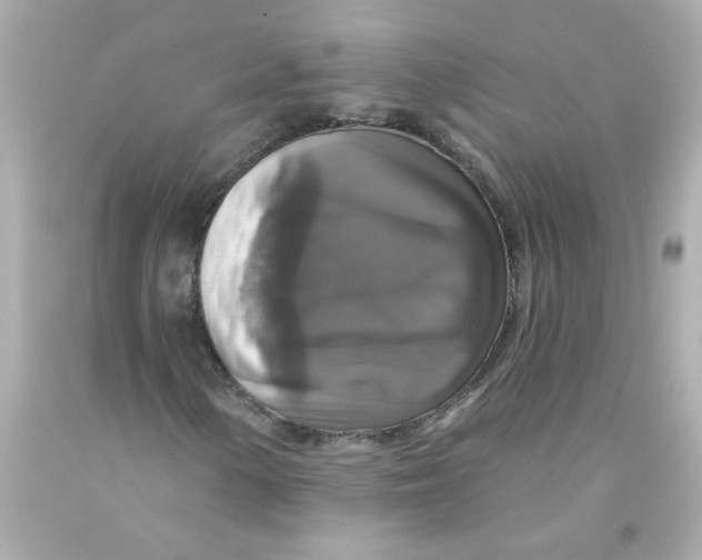 X0000093131154200710241317