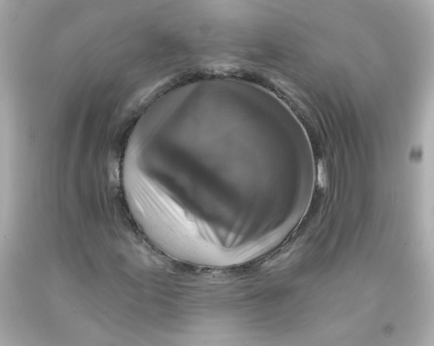X0000093131155200710241317