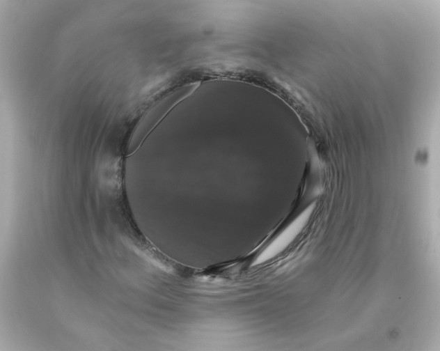 X0000093131156200710241317