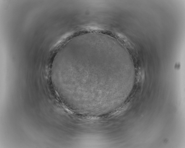X0000093131157200710241317