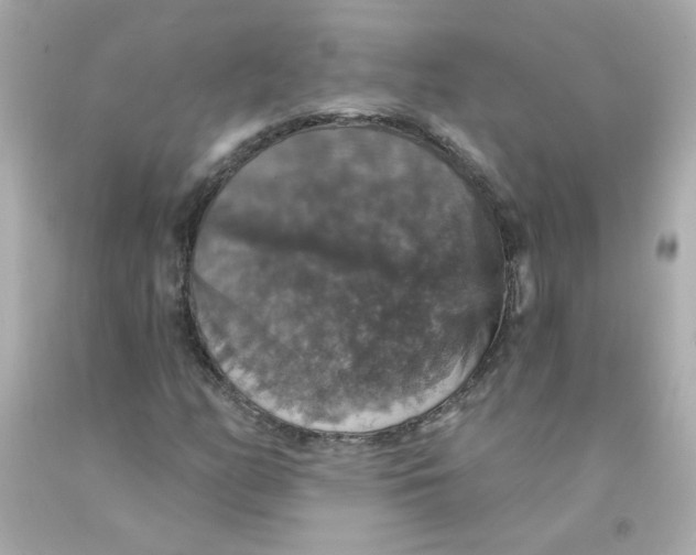 X0000093131158200710241317