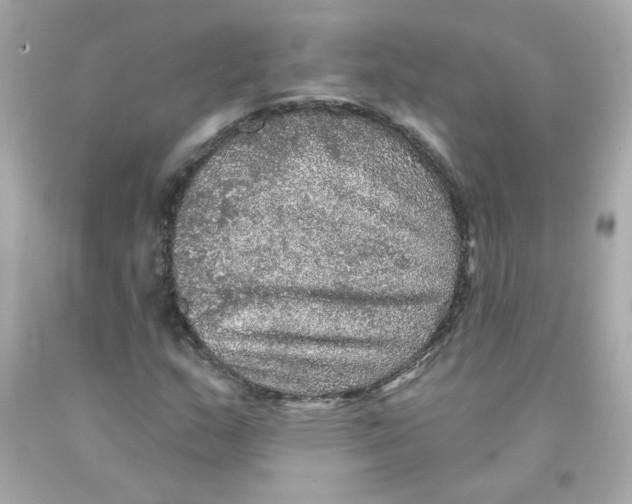 X0000093131159200710241317