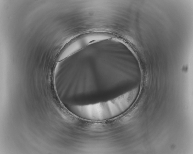 X0000093131161200710241317