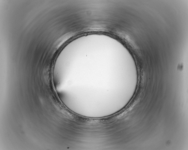 X0000093131162200710241317