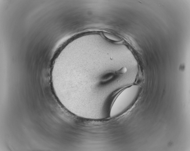 X0000093131164200710241317