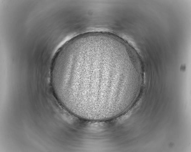 X0000093131165200710241317