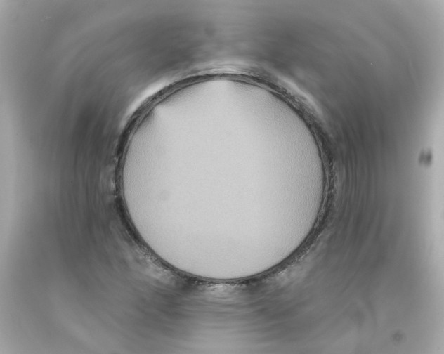 X0000093131166200710241317