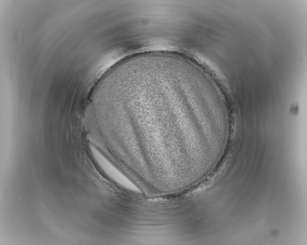 X0000093131169200710241317