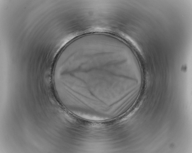 X0000093131170200710241317