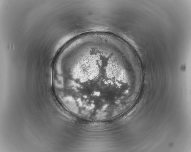 X0000093131171200710241317