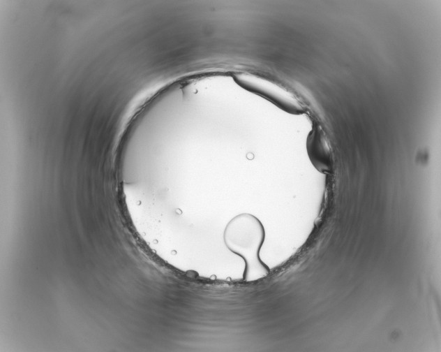 X0000093131172200710241317