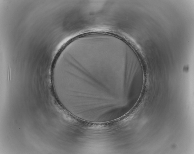 X0000093131174200710241317