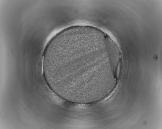 X0000093131175200710241317