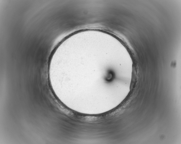 X0000093131176200710241317