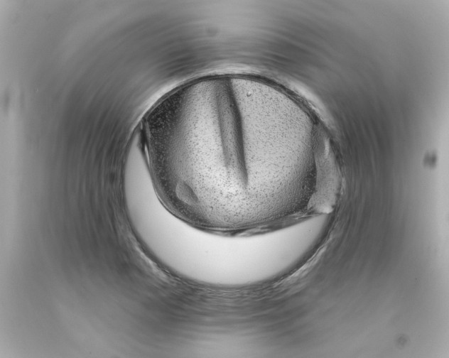 X0000093131177200710241317
