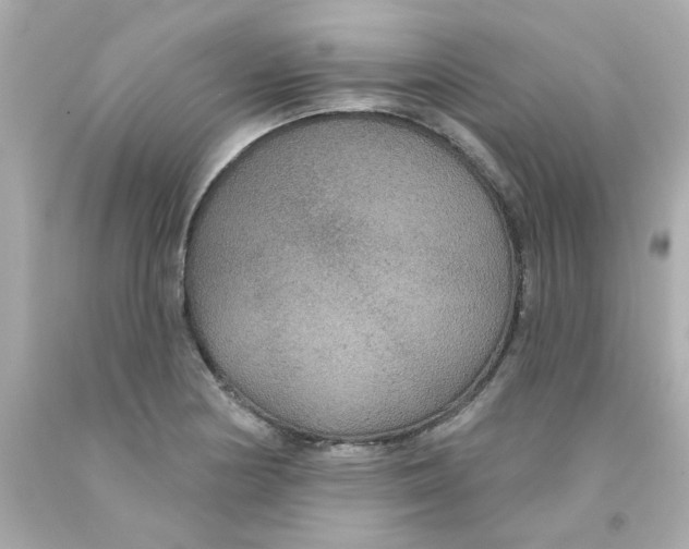 X0000093131178200710241317