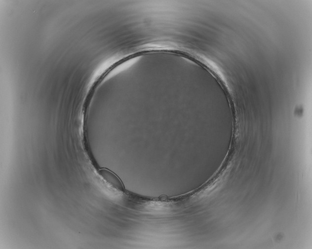 X0000093131179200710241317