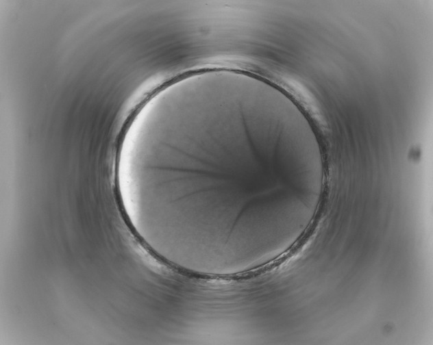 X0000093131180200710241317